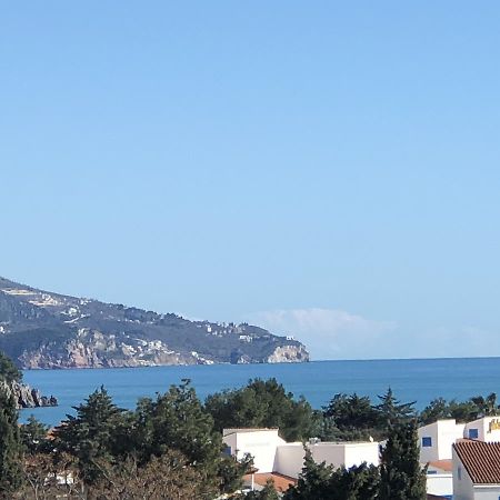 Apartment Veselin Budva Zewnętrze zdjęcie
